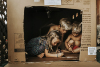 The-Illuminated-View-Light-Workshop-with-tarah-sweeney5A6144-copy.jpg