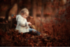 upload_2019-6-6_5-58-29.png