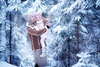 da950290040167e9d99ae5a233cf8d19+.jpg