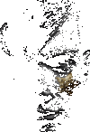687474703a2f2f766972747561616c7374757564696f2e65652f646567342f47494630354d2e676966.gif
