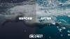 UNDERWATER-II.jpg