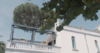grain-image.png