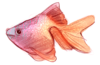 67d56120.png