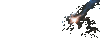 X153Pom.gif