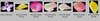 screene.jpg