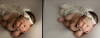 Screen+Shot+2019-01-06+at+8.58.11+PM.png
