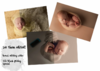 upload_2018-7-22_20-52-47.png