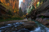 FallNarrows1WEB-L.jpg