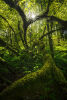 gooddaysunshine_v2_1800.jpg