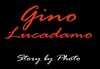 Gino 1.jpg