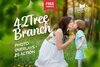 green tree branch overlays.jpg