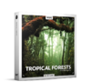 Tropical-Forests-QP-Nature-Ambience-Sounds-768x691.png