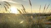 upload_2020-5-20_23-21-7.jpeg