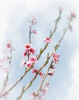 Watercolor-Effect-Photoshop-Flowers-After.jpg