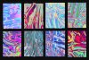 preview05-.jpg