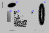 8e8b2690785879.5e20514525541.jpg