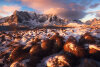 Sakrisoy-Golden-Morning.jpg