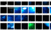 Screen Shot 2020-05-30 at 12.32.17 AM.png