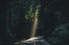 cinematic-dark-woods-lightroom-presets-4222322-4-01.jpg