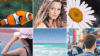 Frame_02_f3d0d4c8-2593-4978-8ff4-f56f7d52e25d_160x90_crop_center.png