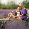 lavenaft-324x324.jpg