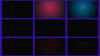 dasdsa.gif