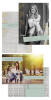 sellsheet-announcements-03.jpg
