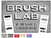 brush lab.jpg