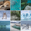 PHLEARN-Vibrant-Nature-Thumbnail-Before.jpg