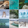 PHLEARN-Vibrant-Nature-Thumbnail-After.jpg