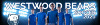 Team-Banner-a.jpg