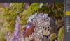 Screen-Shot-2019-10-11-at-12.37.55-PM.png