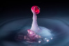 1-Water-Droplet-Splash.jpg