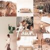 FAWNGRID_900x.jpg