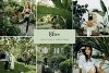 olive-cover-.jpg