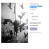 noir-presets.jpg