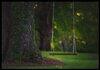 sunset swing thum.jpg