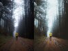 KAHLER-FOG_Preset_1.jpg