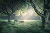 Mikko-Lagerstedt-Atmosphere-14.jpg