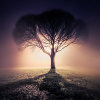 Mikko-Lagerstedt-Atmosphere-10.jpg