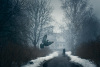 Mikko-Lagerstedt-Atmosphere-11.jpg