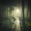 Mikko-Lagerstedt-Atmosphere.jpg