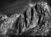 Homage-512x381.jpg