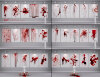 03-rons-blood-ii-daz3d.jpg