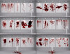 04-rons-blood-ii-daz3d.jpg