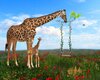 giraffe thumb.jpg