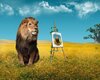 lion art thumb.jpg