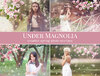 Under Magnolia - preview.jpg
