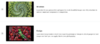 upload_2021-7-21_11-55-5.png