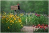 TpHIWSxTD2ARw8CZ9Pxg_Garden_Mailbox_DB_Screenshot.jpg